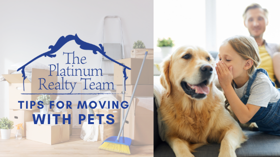 Tips For Moving With Pets