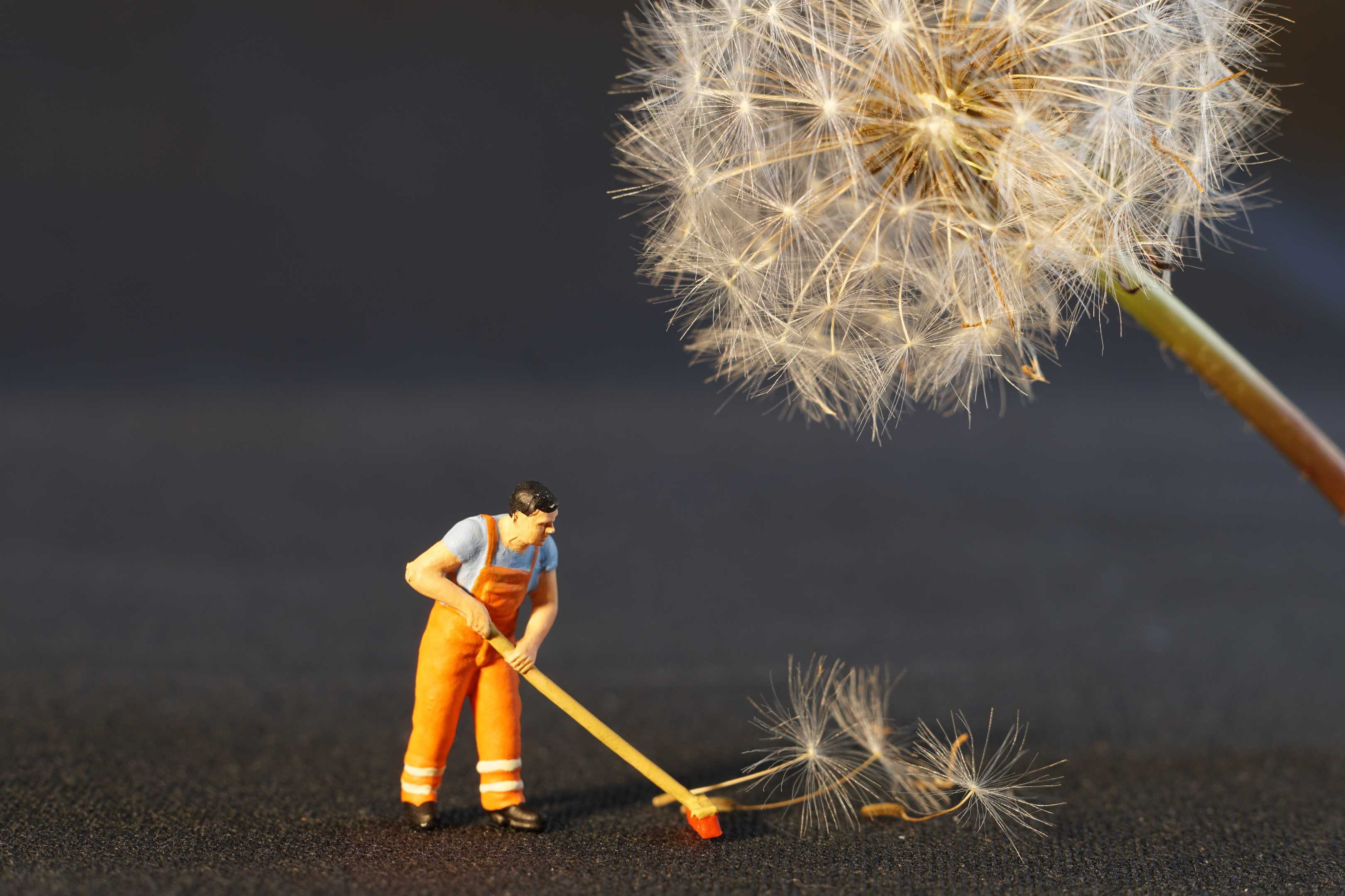 Spring Cleaning Tips