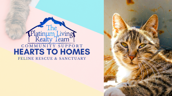 Hearts to Homes