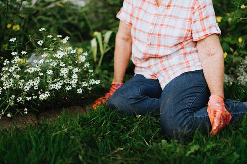 What to Plant in Your Garden in March