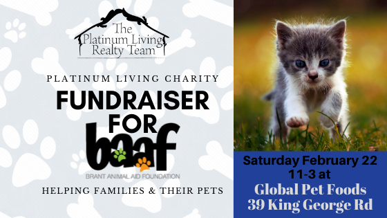 Fundraising for Brant Animal Aid!